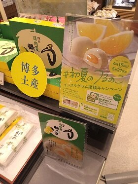石村萬盛堂鶴乃子日向夏②.jpg
